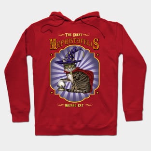 The Great Wizard Cat Hoodie